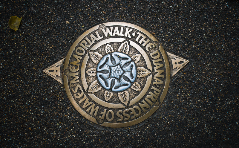 Hedge trimming professional gardeners